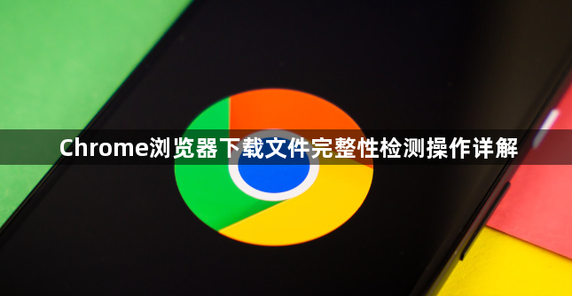 Chrome浏览器下载文件完整性检测操作详解1