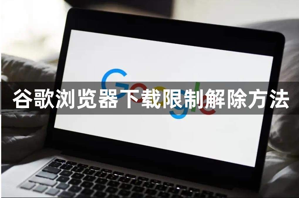 谷歌浏览器下载限制解除方法