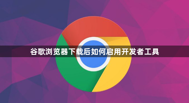 谷歌浏览器下载后如何启用开发者工具
