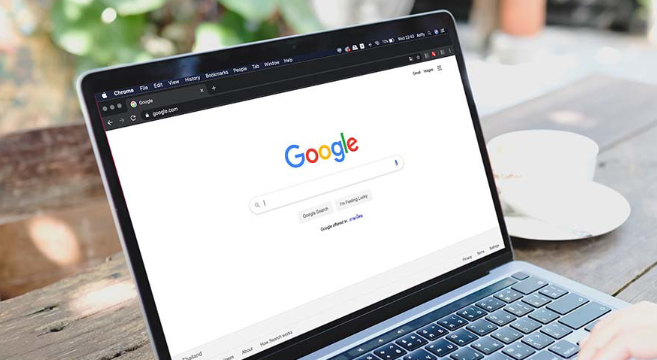 google浏览器自动填写错误信息恢复方法建议1