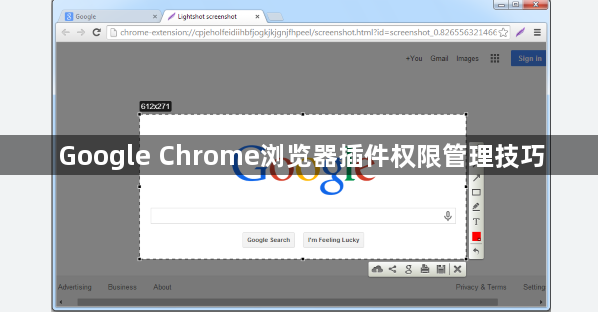 Google Chrome浏览器插件权限管理技巧