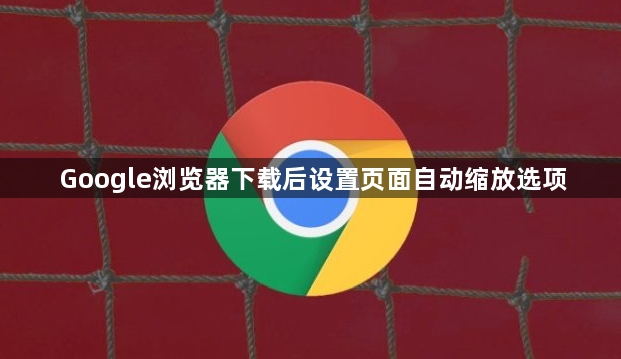 Google浏览器下载后设置页面自动缩放选项