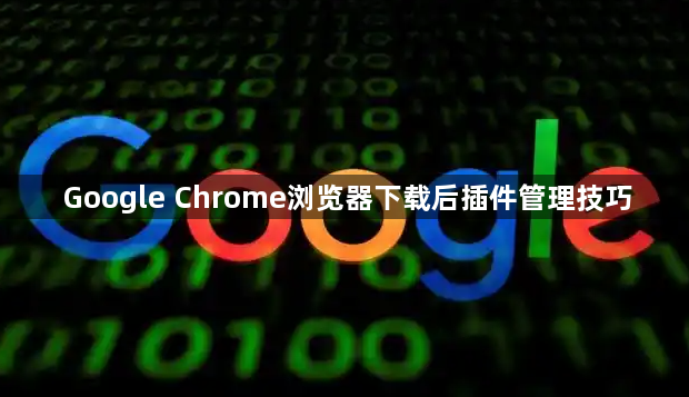 Google Chrome浏览器下载后插件管理技巧