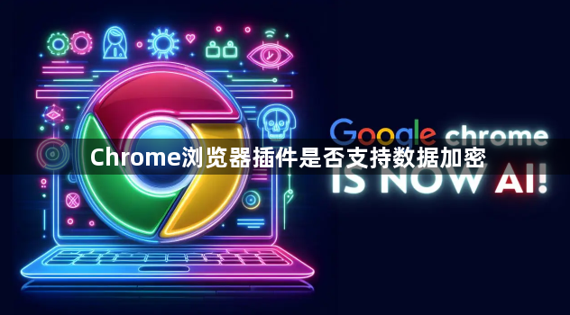Chrome浏览器插件是否支持数据加密