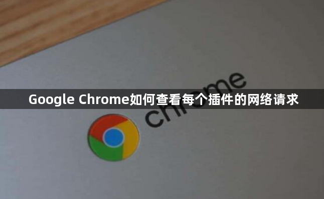 Google Chrome如何查看每个插件的网络请求