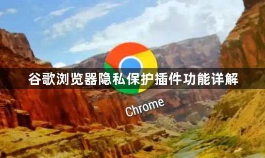 谷歌浏览器隐私保护插件功能详解