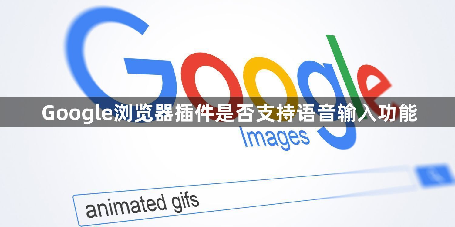 Google浏览器插件是否支持语音输入功能