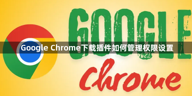 Google Chrome下载插件如何管理权限设置