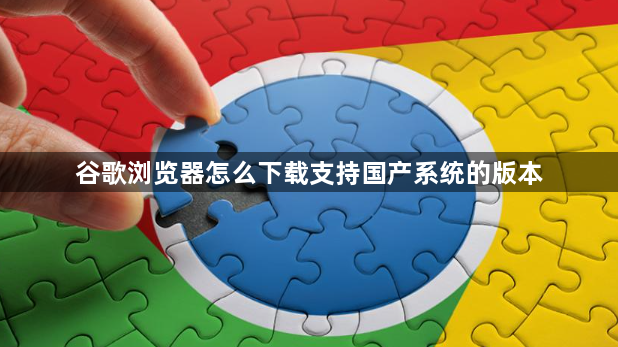 谷歌浏览器怎么下载支持国产系统的版本