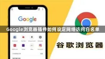 Google浏览器插件如何设定网络访问白名单
