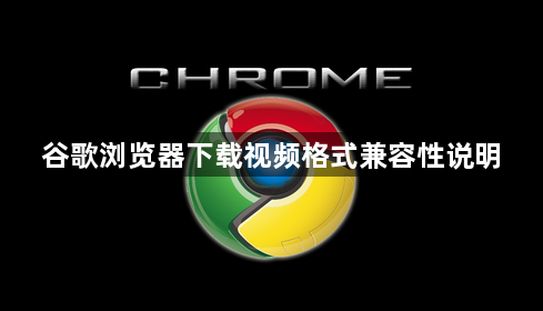 谷歌浏览器下载视频格式兼容性说明1