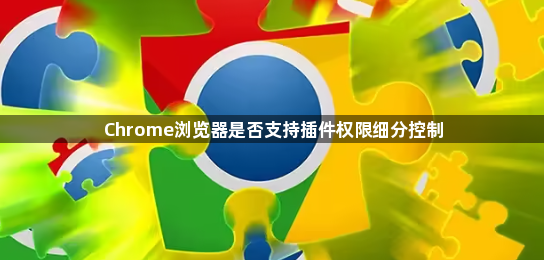Chrome浏览器是否支持插件权限细分控制