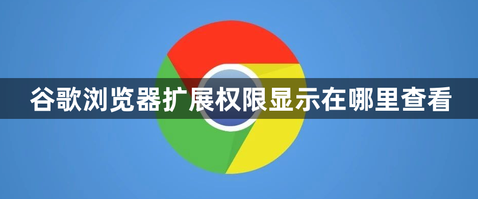 谷歌浏览器扩展权限显示在哪里查看