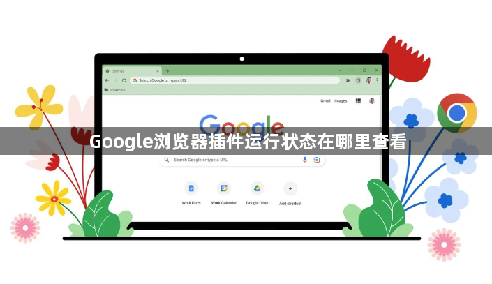 Google浏览器插件运行状态在哪里查看