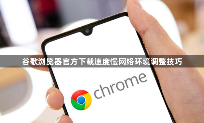 谷歌浏览器官方下载速度慢网络环境调整技巧
