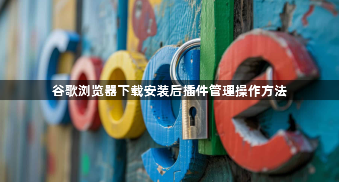 谷歌浏览器下载安装后插件管理操作方法
