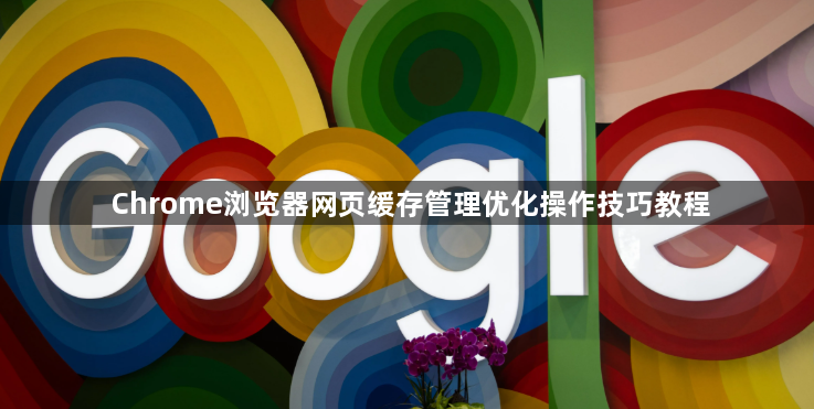 Chrome浏览器网页缓存管理优化操作技巧教程