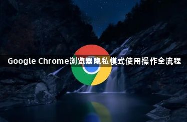 google浏览器下载完成后如何恢复默认设置