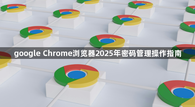 google Chrome浏览器2025年密码管理操作指南
