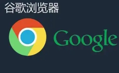 Chrome浏览器绿色版快速获取及部署操作教程