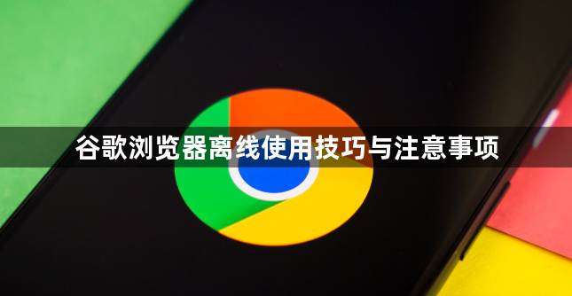 谷歌浏览器离线使用技巧与注意事项