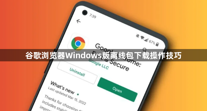谷歌浏览器Windows版离线包下载操作技巧
