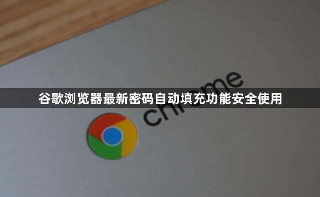 谷歌浏览器最新密码自动填充功能安全使用1