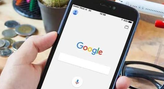 google Chrome浏览器最新更新包下载